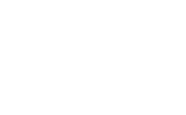 Alternate Text